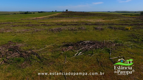 DOS EÓLICOS VIRA P FAZENDA_Moment.00_00_51_16.Quadro315_88f63690e3f3b07da5cc60ca9df1d53701cb59ee.jpg